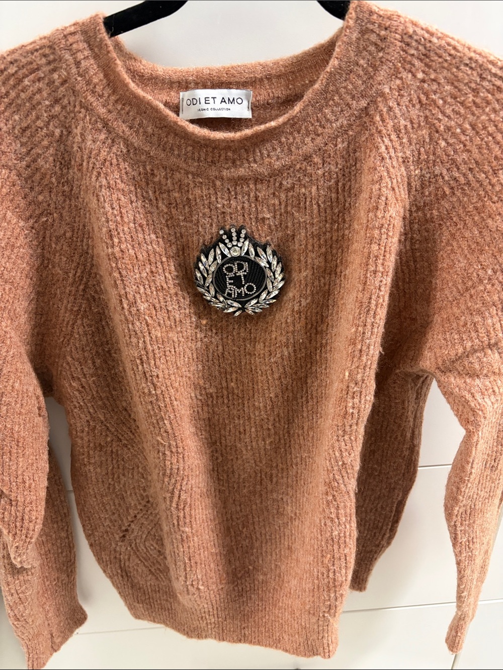 Odi Et Amo Cozy Rust Crewneck Sweater
